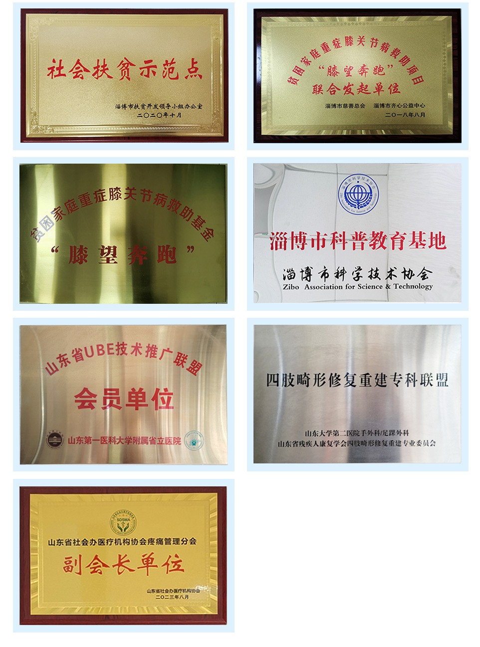 东坡骨科企业荣誉